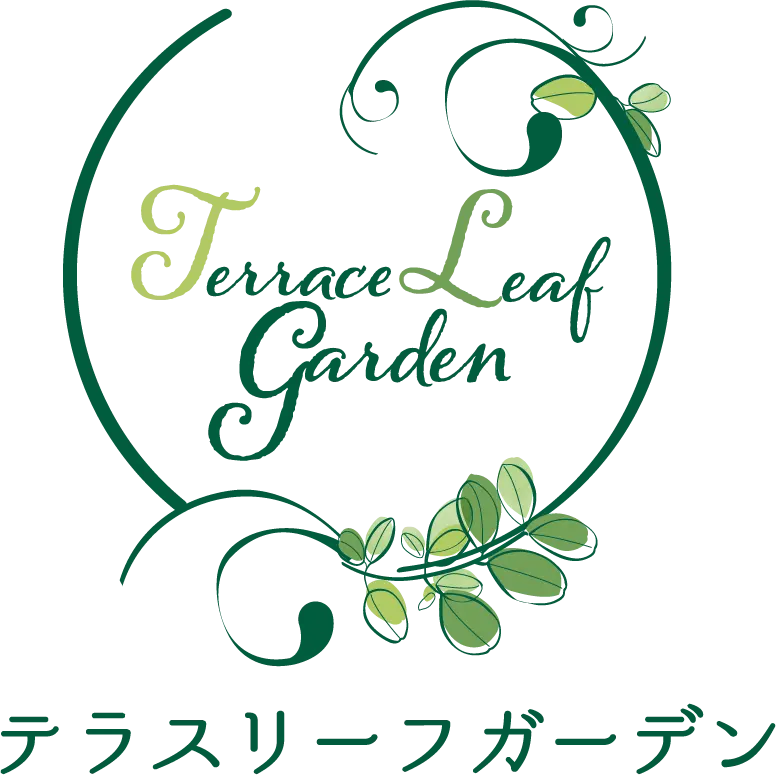 国産モリンガ農家 テラスリーフガーデン