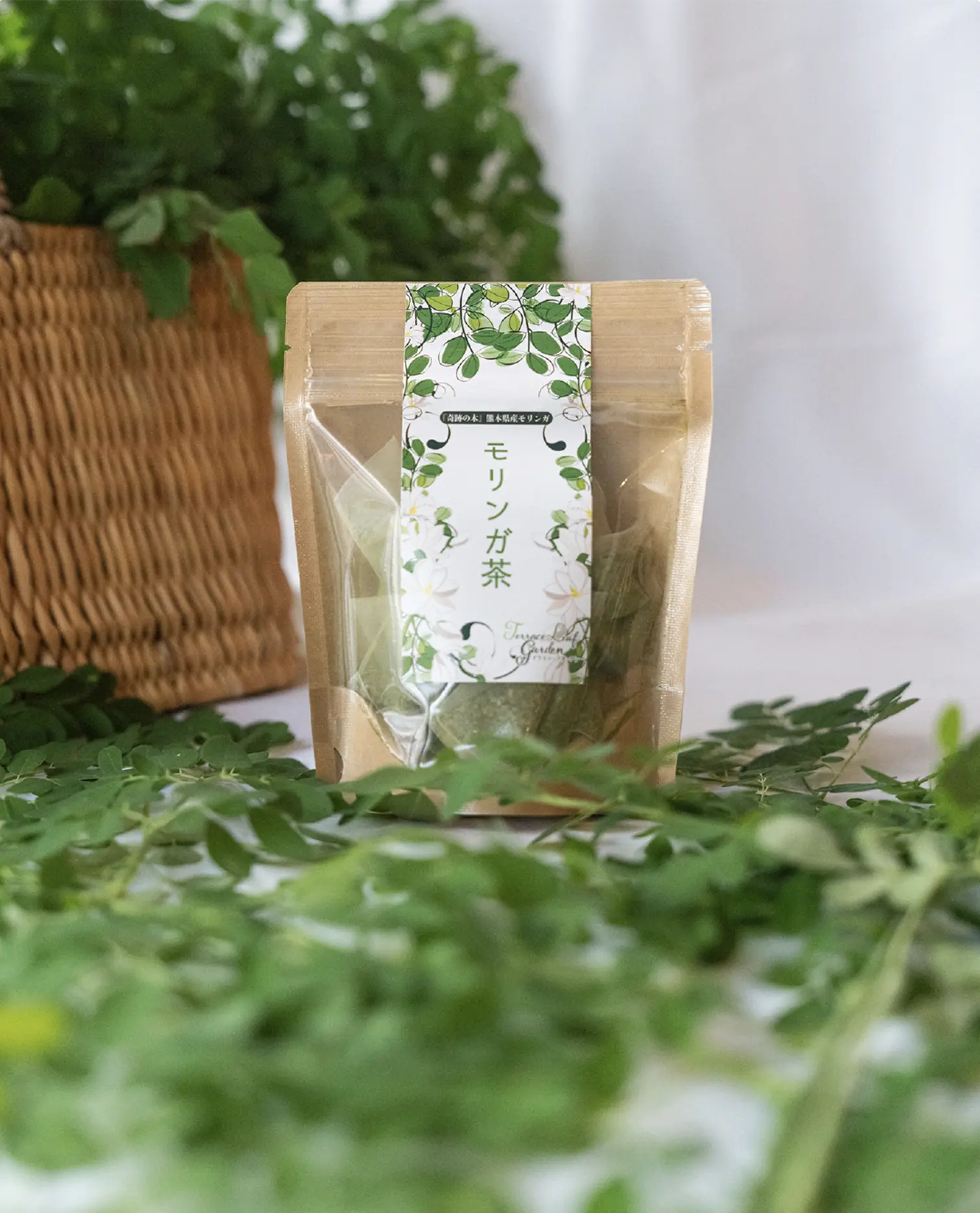モリンガ茶10包入